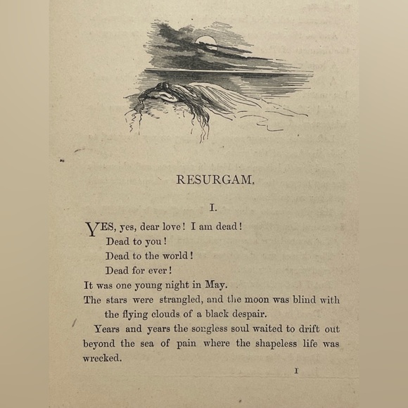 Infelicia 1st Edition (Aspirations) - Picture 4 of 15